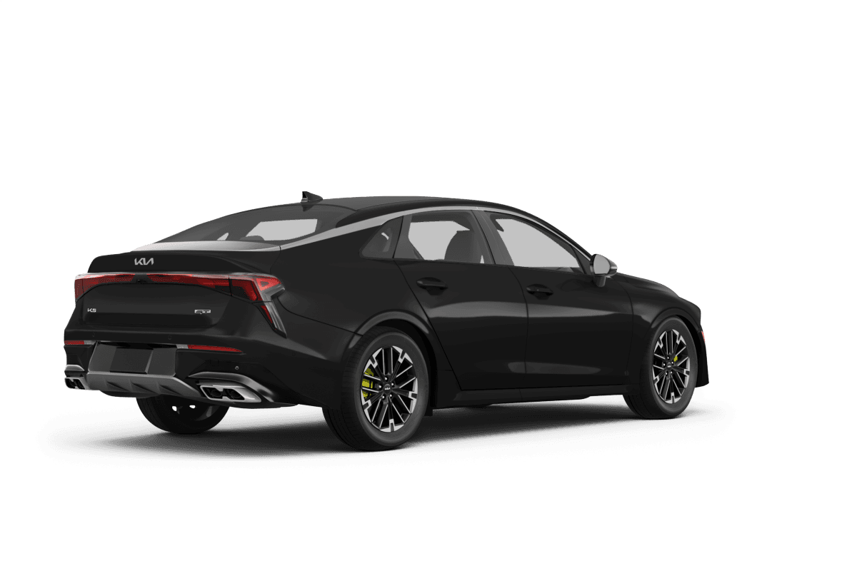 Back view